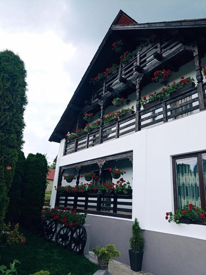 Pensiunea Casa Andreea - Barsana Maramures Bîrsana Exterior photo