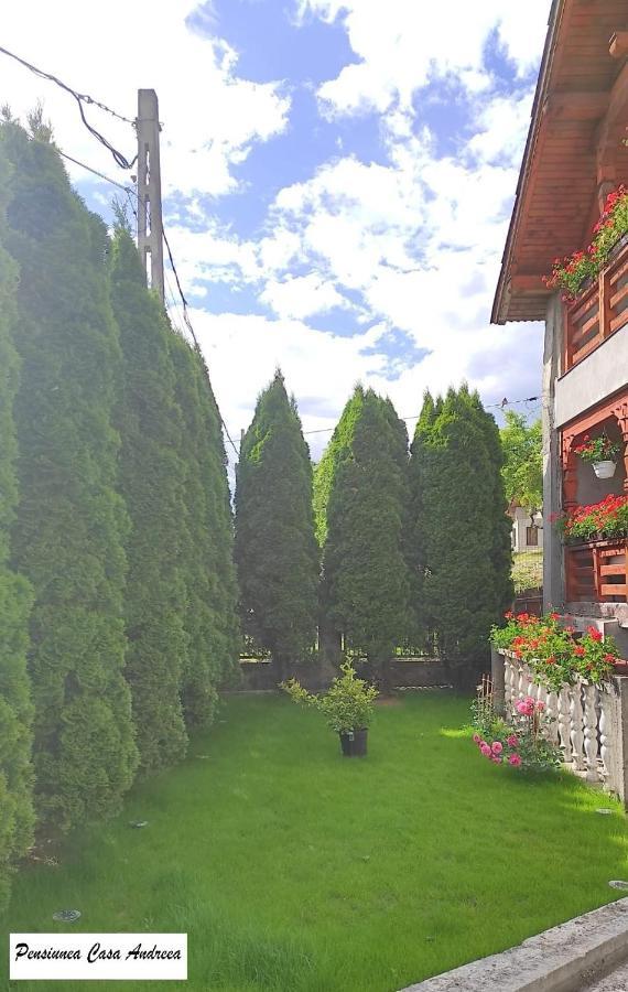 Pensiunea Casa Andreea - Barsana Maramures Bîrsana Exterior photo